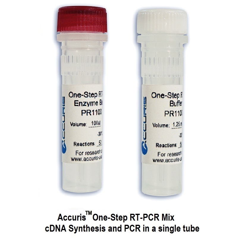 Accuris One Step Rt Pcr Kit