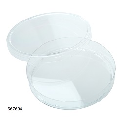 100mmx15mm Sterilized Petri Dishes with Lids,10 Pack 