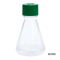 Erlenmeyer Flask