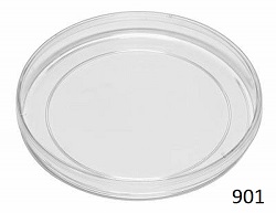 Standard Petri Dish