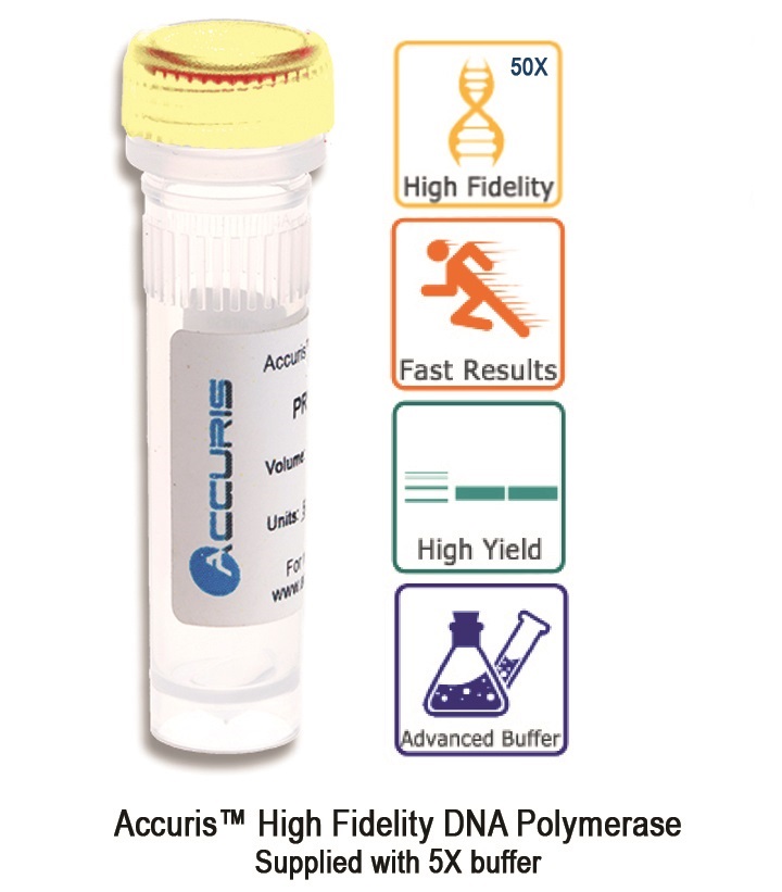 Accuris High Fidelity Taq