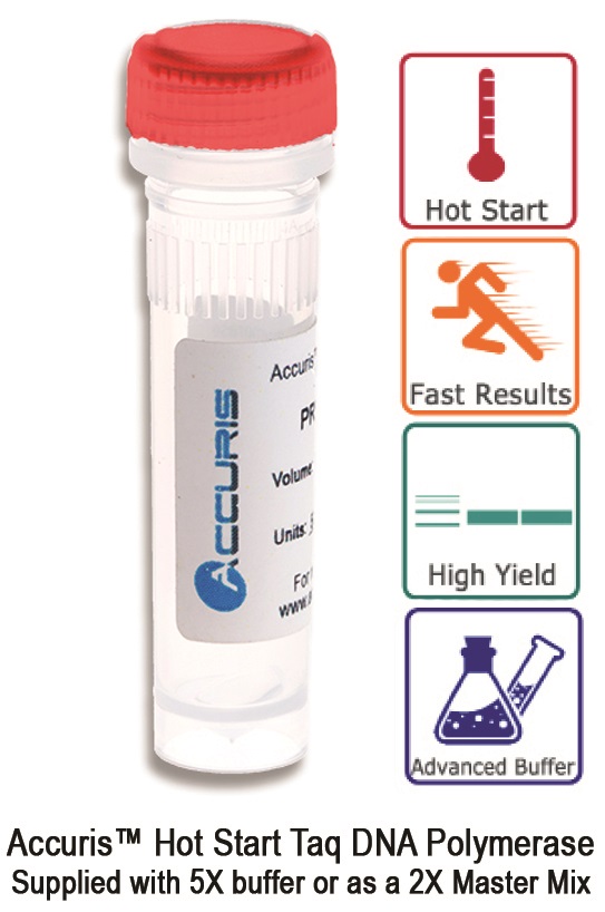 Accuris HotStart Taq