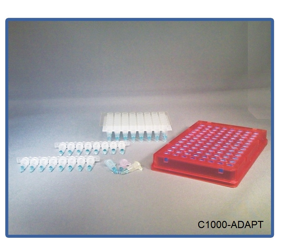 Support Plate