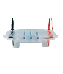 Electrophoresis System