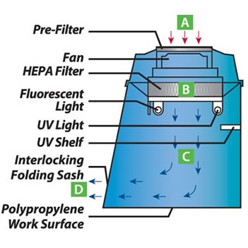 graphic_for_ My-PCR