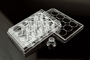NEST Cell Culture Inserts