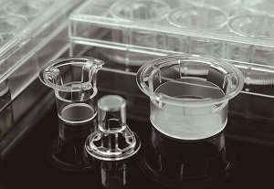 NEST Cell Culture Inserts