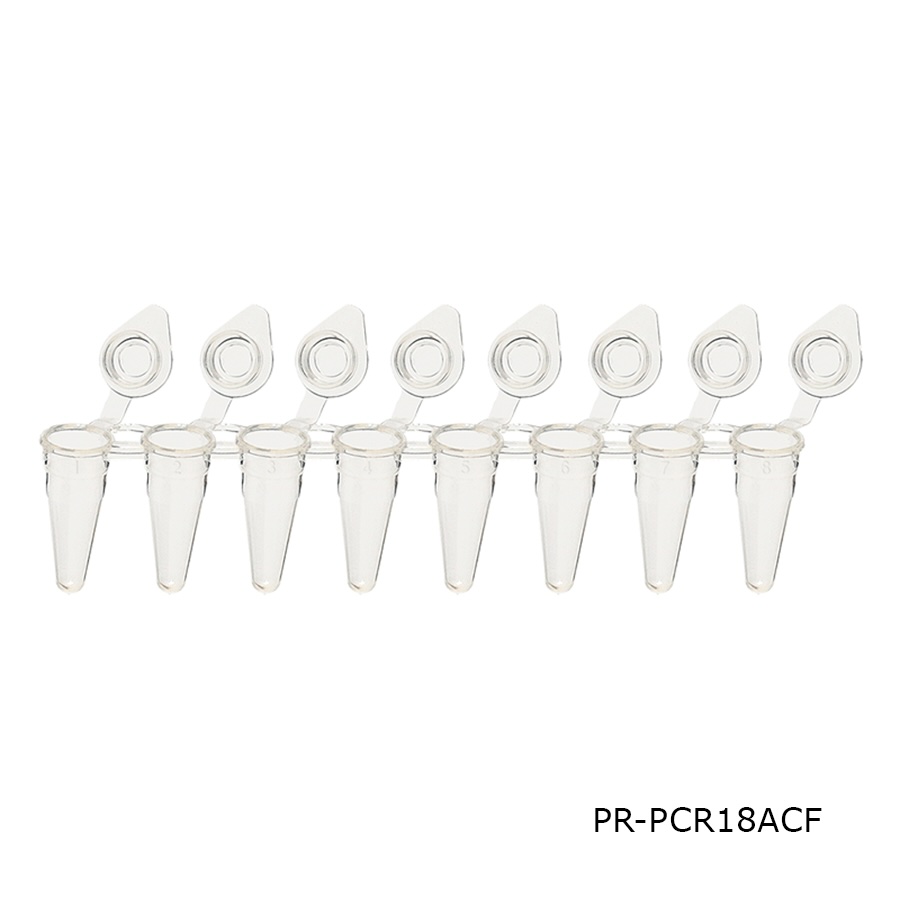 PCR Tube