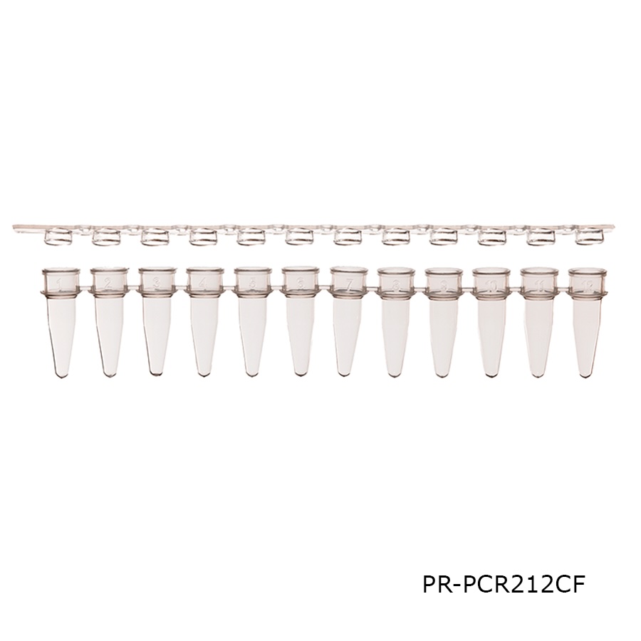 PCR Tube & Caps