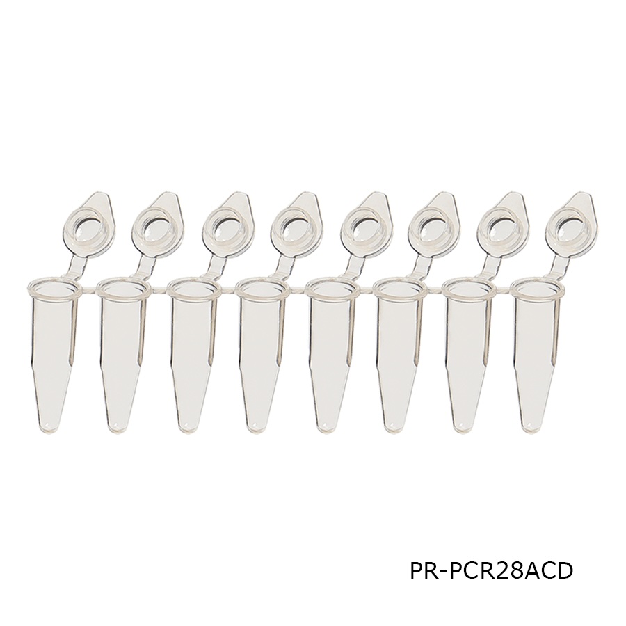 PCR Tube
