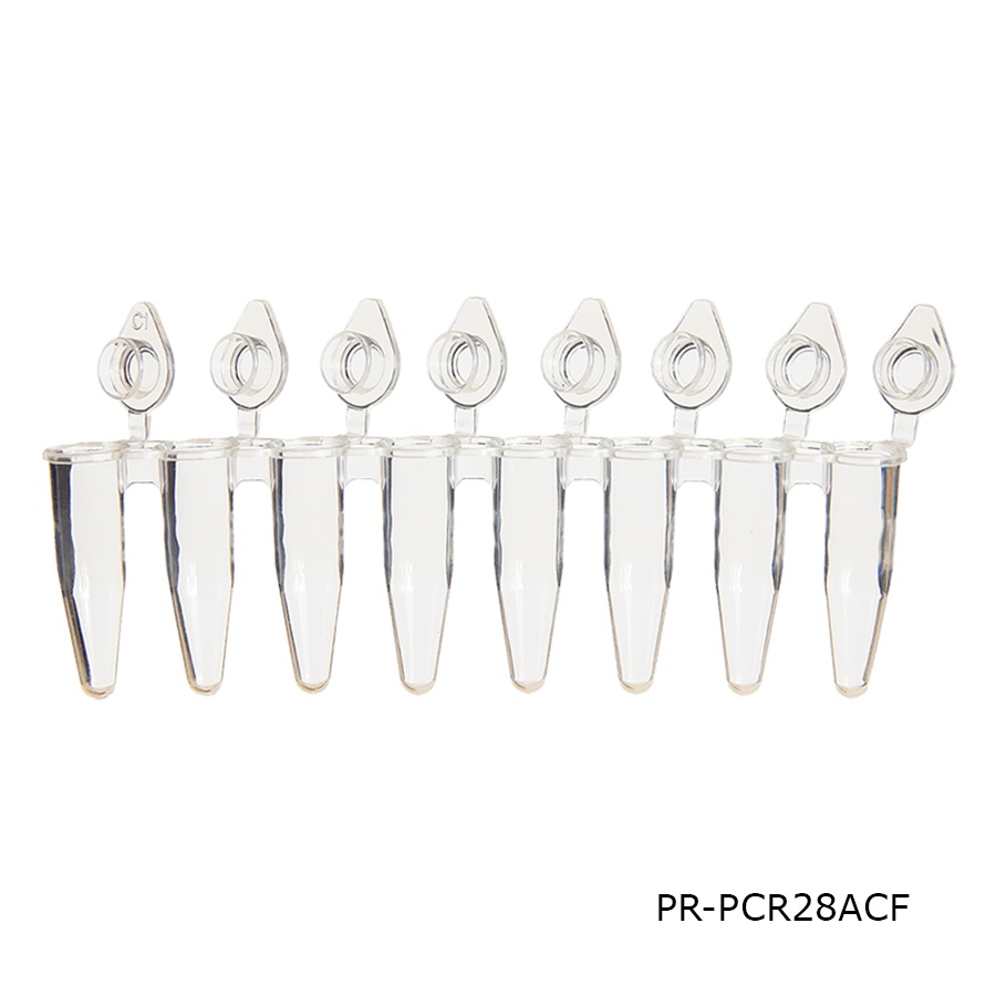 PCR Tube