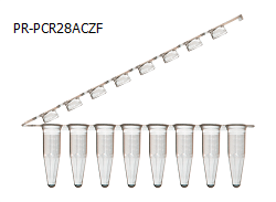 PCR Tube