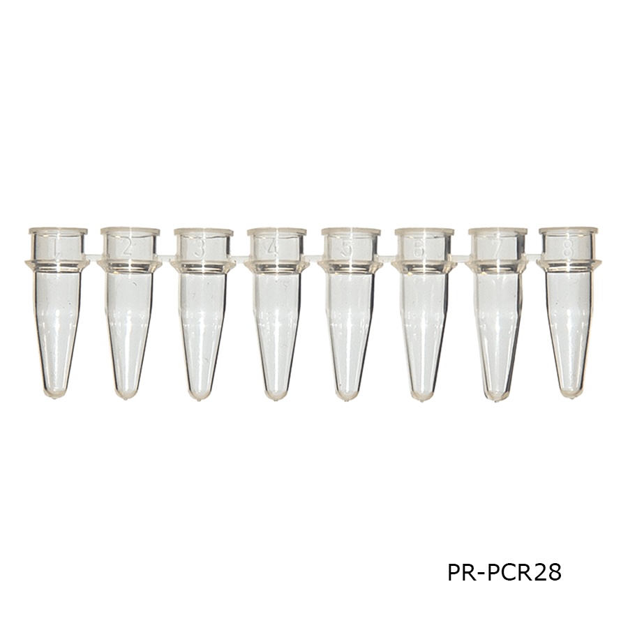 PCR Tube