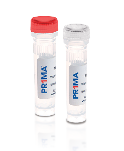 One-step RT-PCR Kit