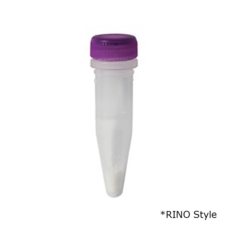 Bead Lysis Kit - RINO