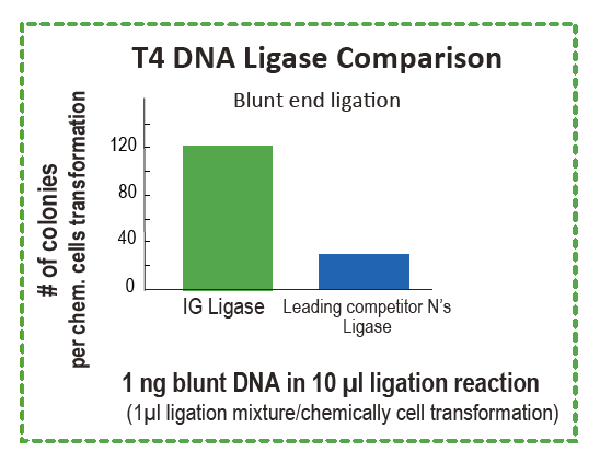 T4-DNA-Ligase