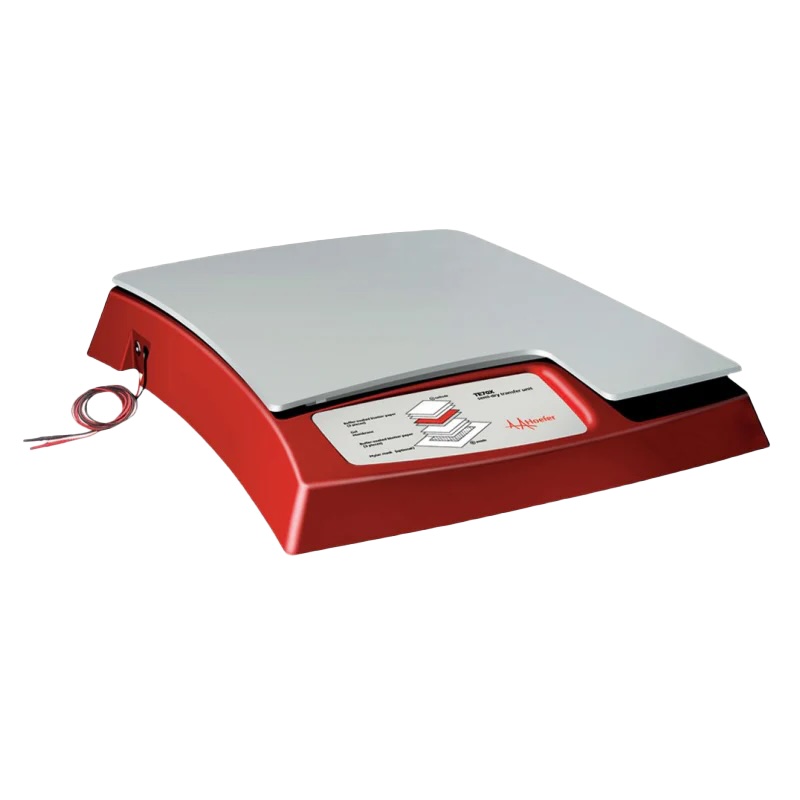 Hoefer Semi-Dry Transfer