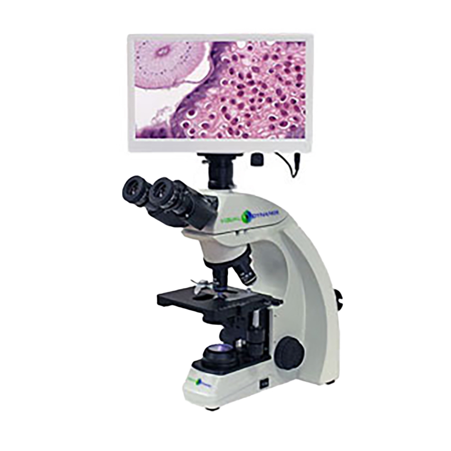 Upright Microscopes