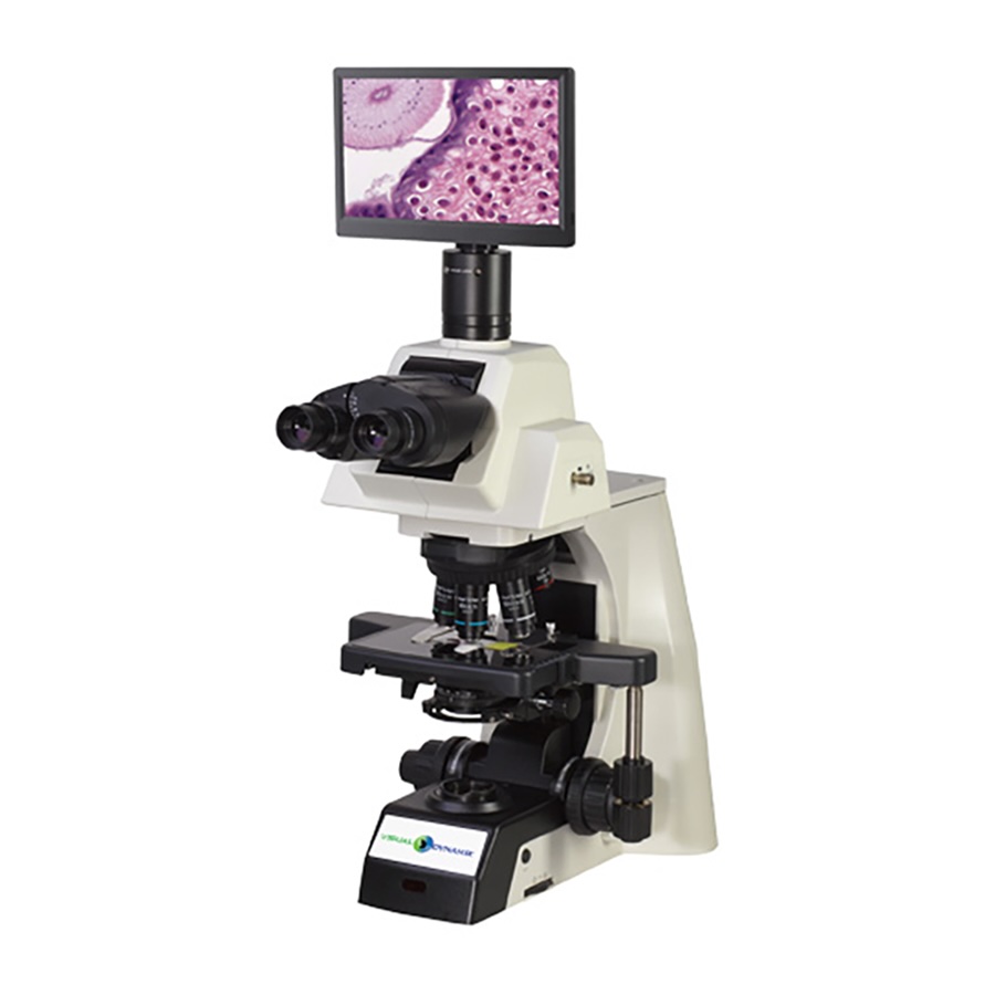 Upright Microscopes