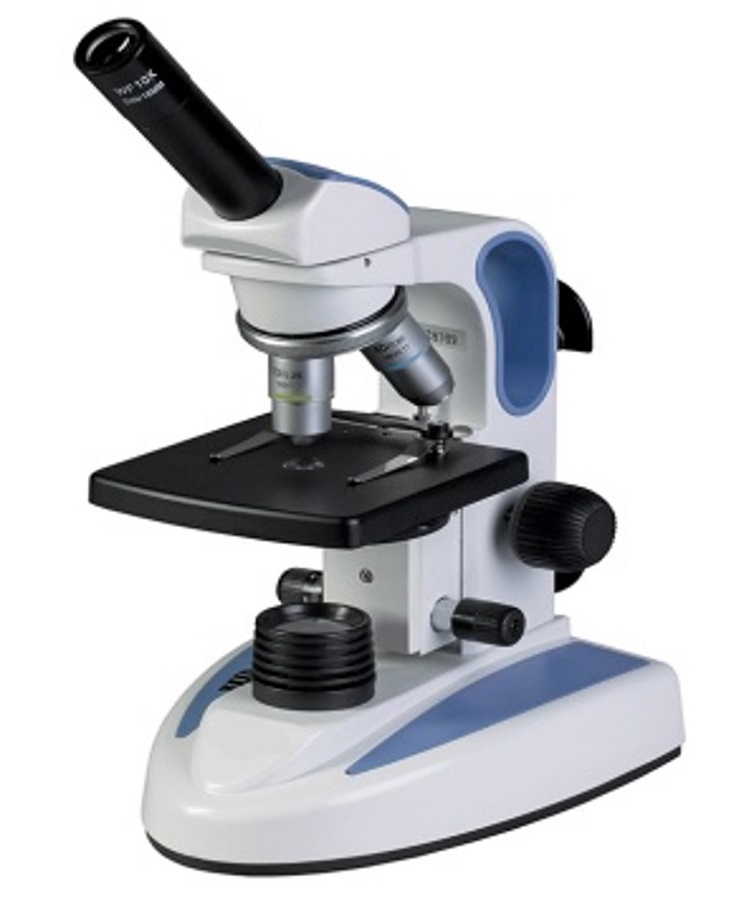 Compound Microscopes