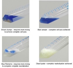I-Blue MINI Plasmid Kit