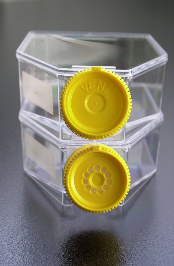 TPP Tissue Culture Flasks