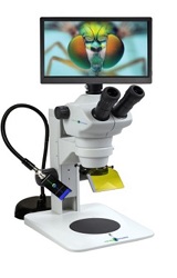 Z850 Stereo Microscope