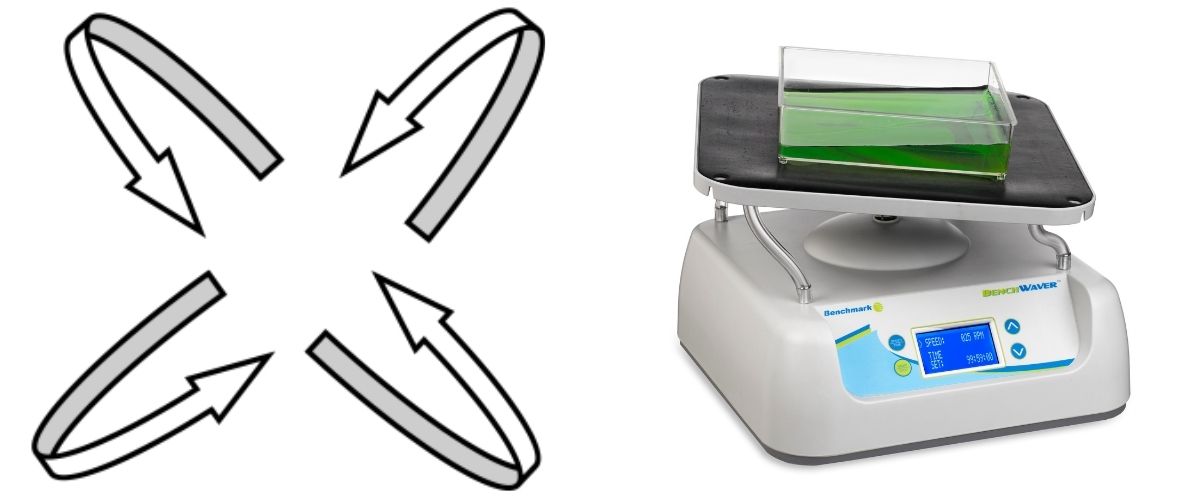 Benchmark BenchWaver 3-D Rocker with arrows showing its movement.