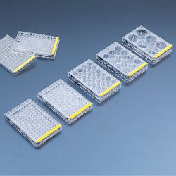 Cell culture plates that eliminate edge effect