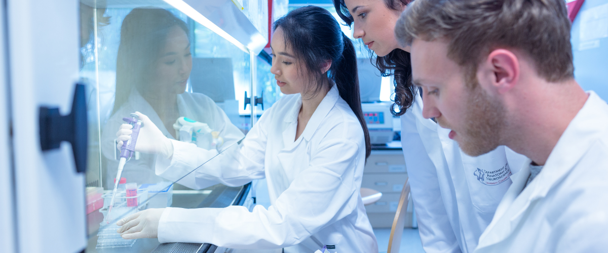 Scientists using a pipette in the lab