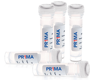 Cross Reference for qPCR Reagents to PR1MA