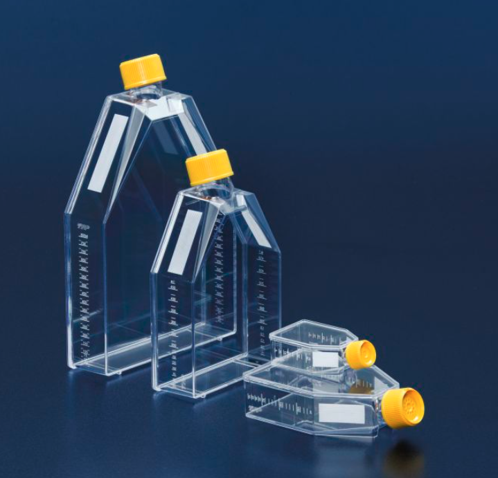 TPP Tissue Culture Flasks