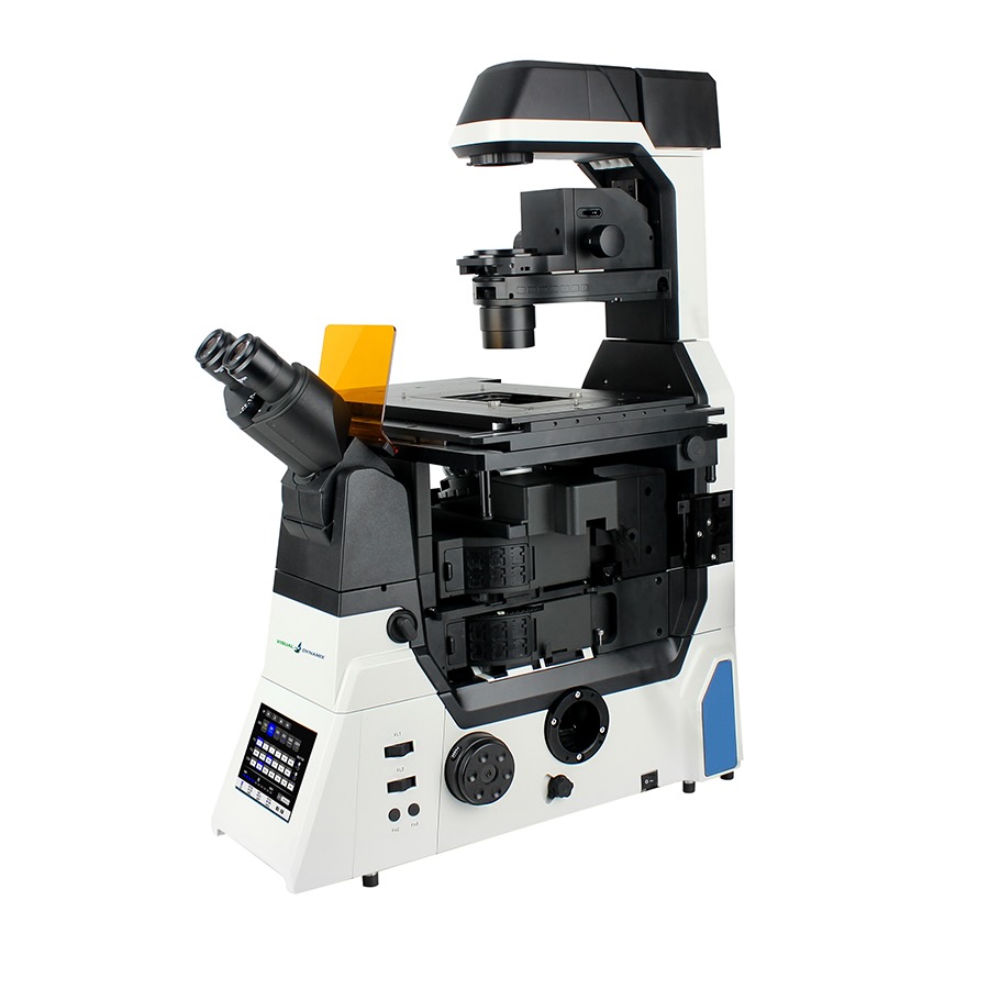 Customizable Products
