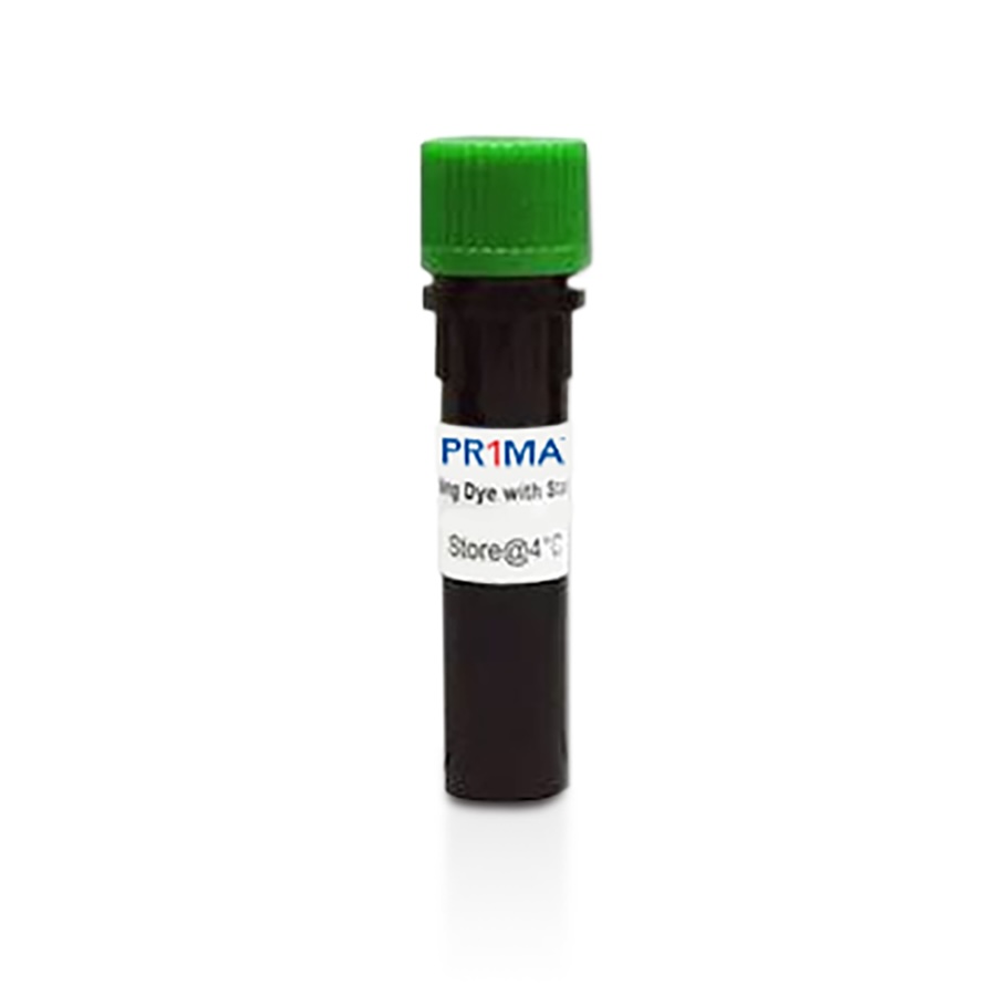 PR1MA™ SmartGlow™ DNA Safe Stain