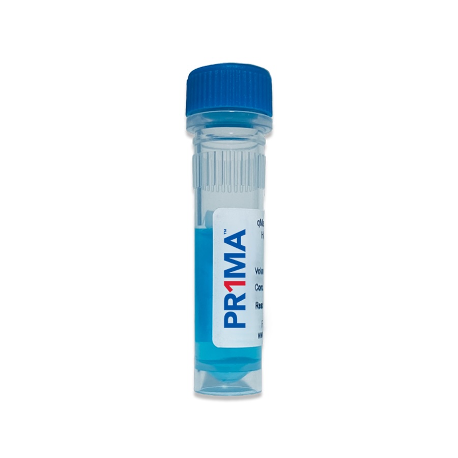 PR1MA™ qMAX Green qPCR Mix with Blue Tracking Dye