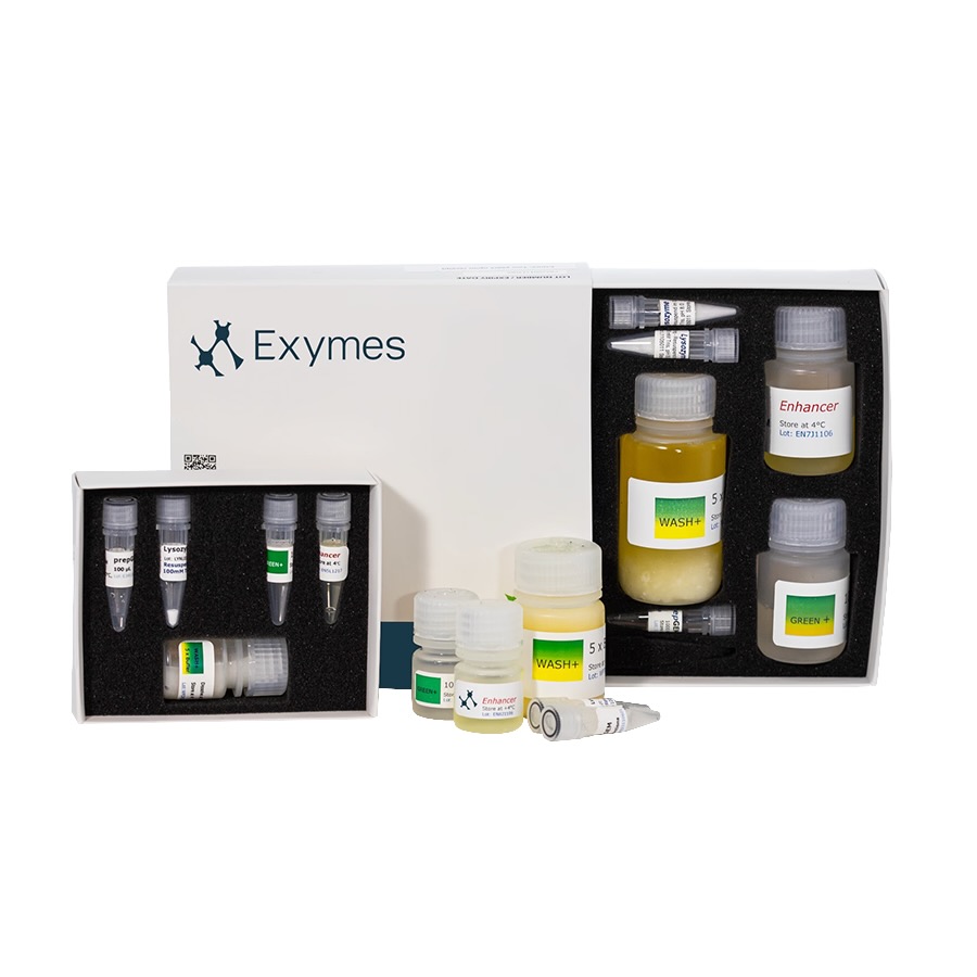 PrepGEM™ Bacterial Enzymatic Kits