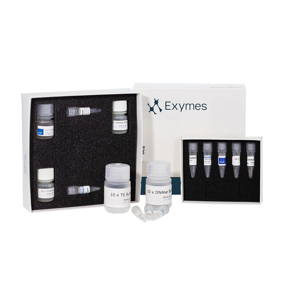 RNAGEM™ Nucleic Acid Extraction Kits